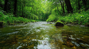 ���ⰻȻ��ɽ��Ϫ��