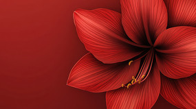 �������ŵĺ�ɫ����