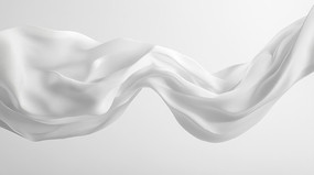 Ʈ������İ�ɫ˿��