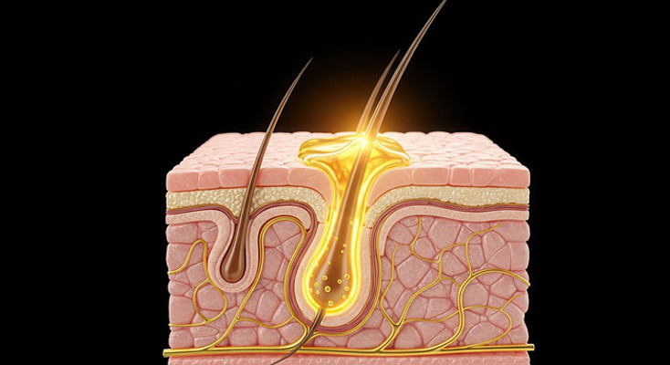 皮肤毛囊健康护理 皮肤毛囊健康护理