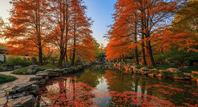 ���վ��׵ĳ�����Ӱ���ﾰ