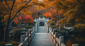 ����԰��ʯ�ž���