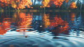 �����ˮ���Ϸ��������