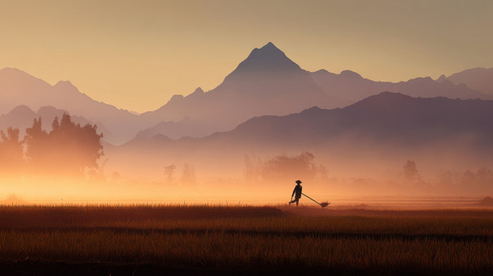 日出时田间劳作的农民 日出时田间劳作的农民