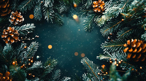 ʥ����ѩ�ɱ߿��ز�