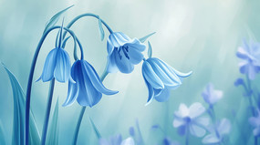 ʢ�������廨