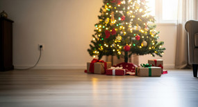 ����ʥ����������