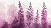 ˮʻ