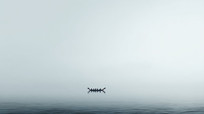ˮϵ