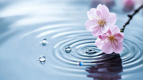 ˮ���ϵ�ӣ��