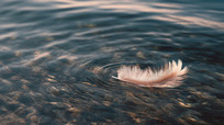 ˮë