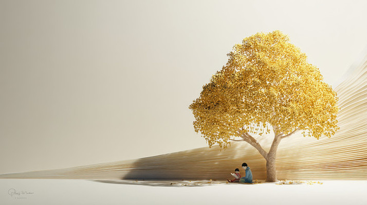 树下阅读的温馨时光 树下阅读的温馨时光