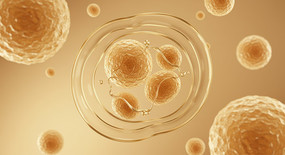 ΢���ӽǵ�ϸ��