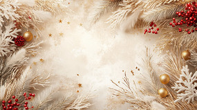 Ψ��ʥ���ڽ�ɫװ�α���