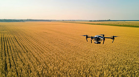 ���˻���������