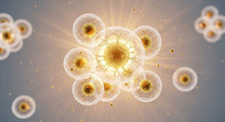 ϸ΢ز