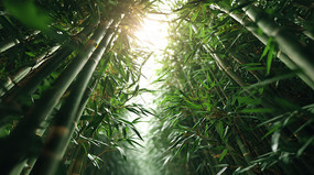 ������ҫ�µ�ï������