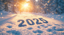 ӡ2025Ķѩ