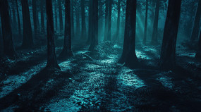 �¹��µ�����ɭ��