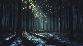 �¹��µ������ɭ��ҹɫ