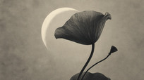 ºҶд