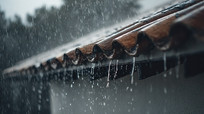ˮʽ