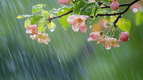 ���л��������ʫ��