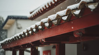 ʽѩ