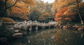 ��ʽ԰������ʯ�ž���