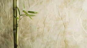 ��Ҷ�����д