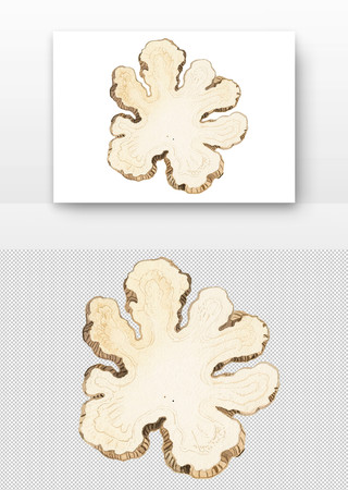 中药白术水彩画国画 中药白术水彩画国画