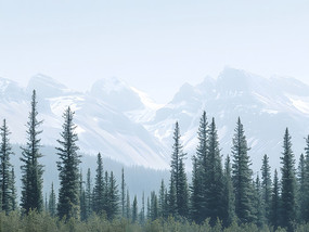 ïʢɼѩɽɽǰ羰ͼƬ