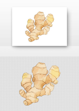 香料沙姜水彩国画 香料沙姜水彩国画