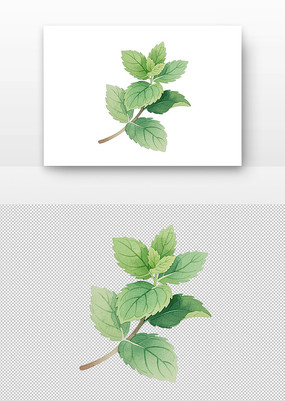 ����ˮ�ʻ�����