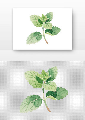 ����ˮ�ʻ�����