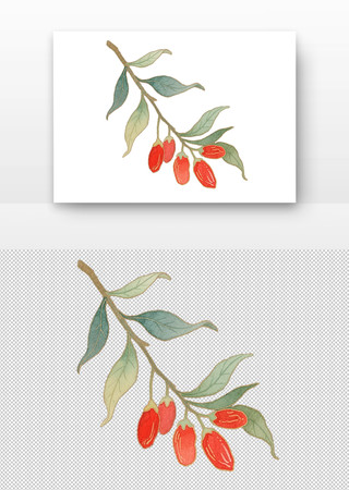 枸杞水彩画 枸杞水彩画