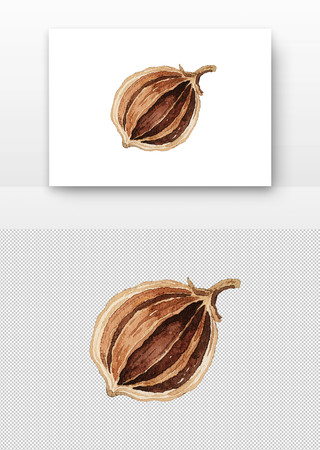 香料草果水彩国画 香料草果水彩国画