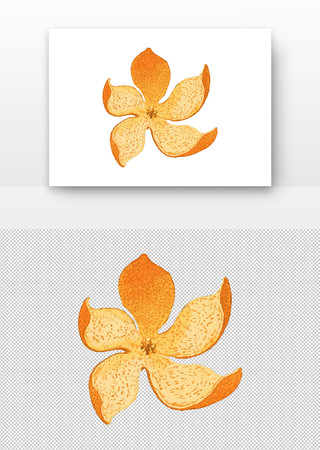 中药陈皮水彩画