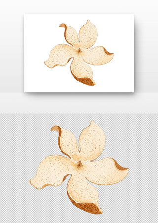 中药陈皮水彩画国画