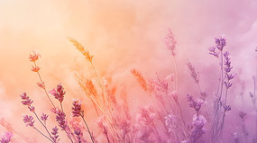 ɫɫϼ޹²ݲݴλֲͼƬ