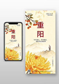 ڲ廭