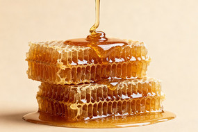 ���������ڷ䳲֮��