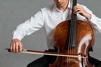 �������������רעͶ��