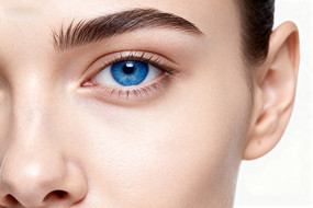 ��ɫ�۾�����üë�Ͷ�����д