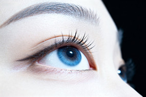 ��ɫ�۾���д��ë�˳�����