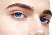 ɫ۾дչʾ۽ëüëϸ