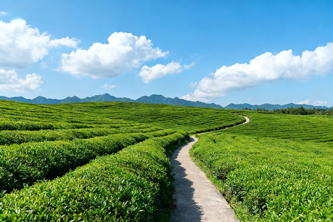 ��������µĲ�԰С��