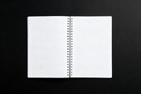 ����װ���ĿհױʼǱ�