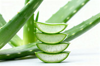 «����Ƭ�ѵ�չʾ��д