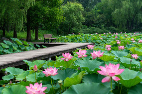 �ɻ���ľջ���볤��